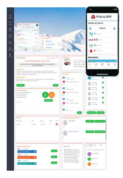 3Fitt Group Wellness Platform on Desktop and Mobile Screens